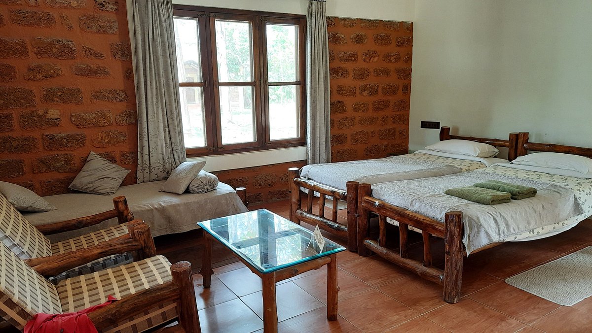 dubare elephant camp timings